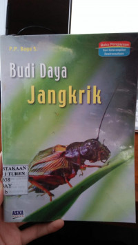 Budi Daya Jangkrik