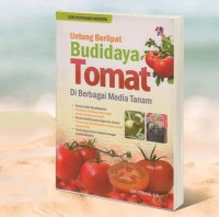 Untung Berlipat Budidaya Tomat Di Berbagai media Tanam